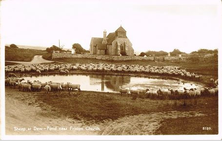 Sheep at Friston Pond 1938
